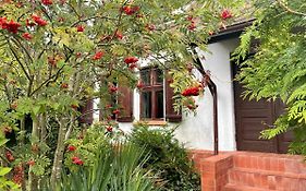 Apple Tree House