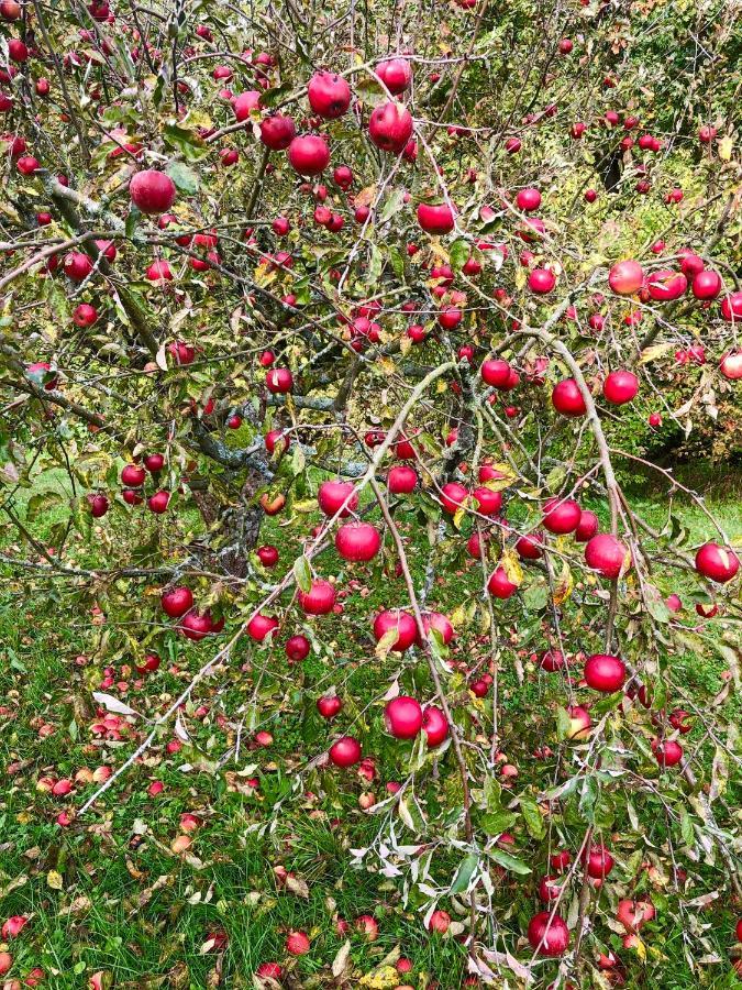 Willa Apple Tree House Lubin  Zewnętrze zdjęcie