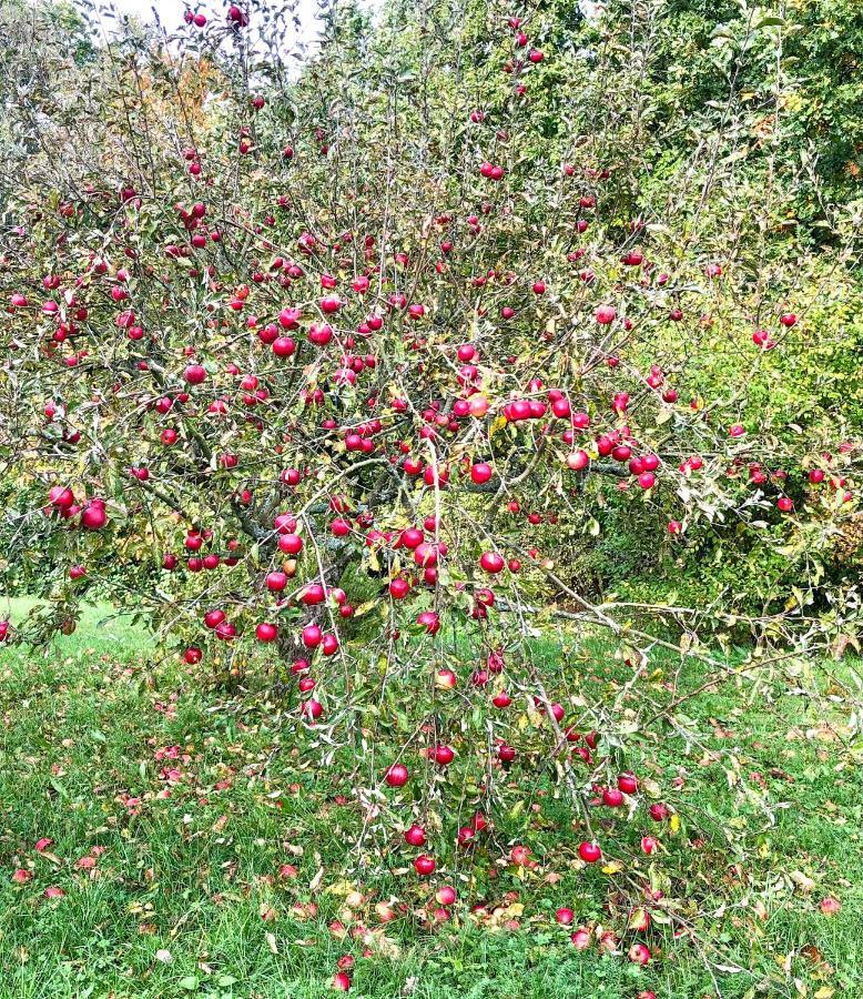 Willa Apple Tree House Lubin  Zewnętrze zdjęcie